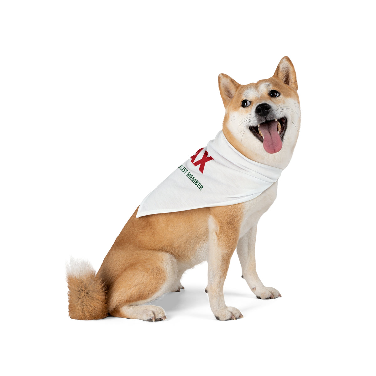 Personalized Christmas Dog Bandana – Official Nice List Member