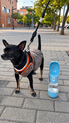Portable Dog Water Bottle for Walks & Travel | Oqelia GoCup™