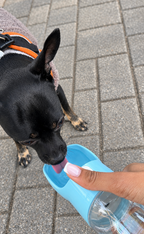 Dog drinking from Oqelia GoCup portable water bottle on a walk